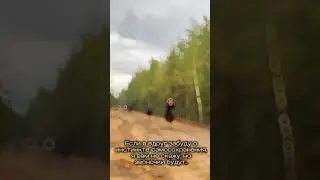Звоночки будут 🤫🔥 мой тгк-SugarOlyaEqu #конныйспорт #лошадь #конь #equ
