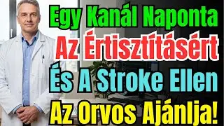 A Sztrók Elkerülésének Titka: 3 Étel És Egy Por, Ami Csodát Tesz Az Erekkel.