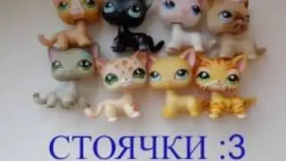 LPS/Лпс - Почему мы так любим стоячек ?:D