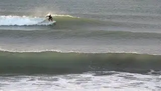 1-2ft | Pink Fish | 2025 Dec. 26