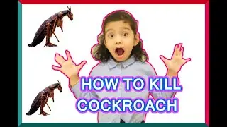HOW TO KILL COCKROACH | KEEP AWAY FROM CHILDREN'S REACH | HOME MADE REMEDY