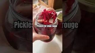 Recette facile de #pickles  #chourouge #condiment  #faitmaison