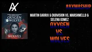 Oxygen vs. Wolves (Martin Garrix & Marshmello B2B Mashup)