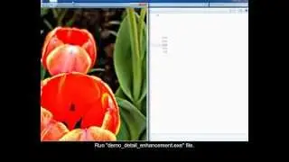 Video demo (colorization, de-colorization, detail enhancement, filtering)