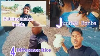 Ashrang Nohlai Juuthai Ronba-Rice Was Given In Everyone's House To Make Rice Beer -Northeast drinks