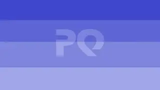 Phallic Questionar Airliner 2.0 Logo (11.01.2017)