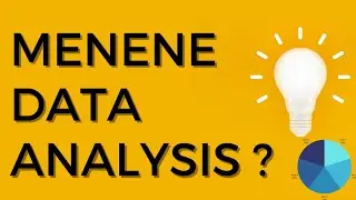 MENENE DATA ANALYSIS ?