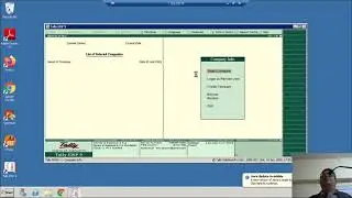 Tally As An Audit Tool - Audit Enable & Tally Net
