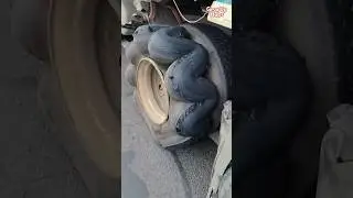 Shocking Moment! 🚗💥 Huge Tire Explodes Suddenly#shorts