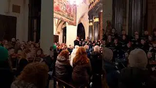 2025 Katedra na Wawelu, a concert of Christmas carolsand pastorals