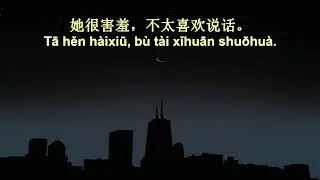 7 Minute Chinese Speaking Practice While You Sleep - Part 60