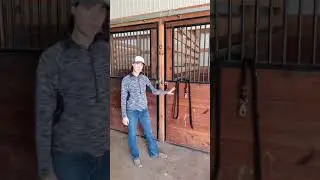 Bringing in and turning out a horse to their stall and paddock