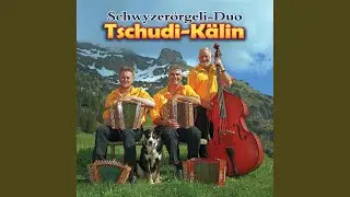De Toni uf em oberscht&auml; Seigel