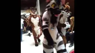 Midwest Furfest 2015 Fursuit Parade  [PUBLIC]
