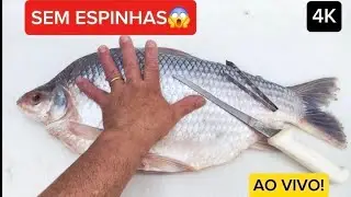  CURIMATÃ SEM ESPINHAS! Passo a passo modo fácil!
