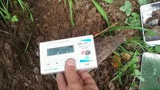 Нахождение урана в природе: настуран из Труна, Граубюнден, Швейцария
