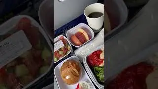 China Southern Airlines Halal Inflight Meal #shorts #viral #chinasouthernairlines #trending