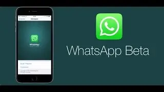 100% How To Download Beta Version Whatsapp For Android