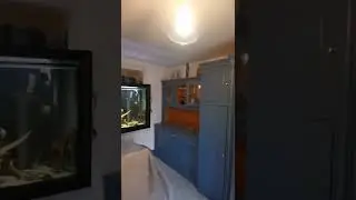 Kitchen revamp