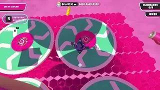 TURBULENT POODLES, 8430 9649 3100, Fall Guys, PC 2026 01