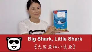 《大鲨鱼和小鲨鱼》Big Shark, Little Shark | Storytelling｜中文阅读绘本｜海外孩子沉浸式学习中文｜ | Chinese Immersion for Kids