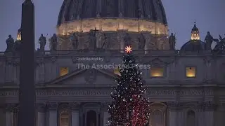 Hundreds queuing at Vatican on Pope Leo's first Christmas - AP Explains