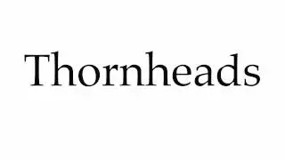 How to Pronounce Thornheads