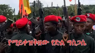 Anchor Media የወሎው የድል ግስጋሴ ቀጥሏል፥ ሌሎች አከባቢዎችም ታሪክ እየሰሩ ነው