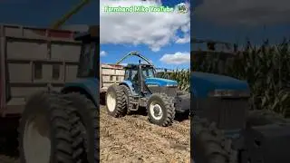 Chopping Corn Silage | Darke County Ohio  #farming #agriculture