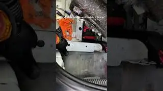 Dead Rat Found Inside Car | Deep Cleaning & Steam Sanitization at Shinex Car Spa 🚗🧼&rdquo;