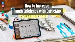 New Year, New Goals: How to Increase Ranch Efficiency with CattleMax