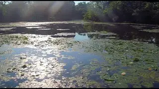 Ep 07 - Fort Harrison State Park