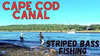 Cape Cod Canal Striped Bass Fishing | The Crew is in Search of Stripers