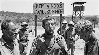 “Estamos mesmo no Brasil?” — Prisioneiros alemães em choque ao ouvir brasileiros falando alemão…