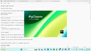 What Are Variables In Python Explanation With Example? Single, Multiline Comment 