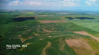 Cinematic View of Wheat Fields in Palouse WA
