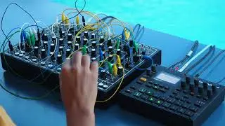 Poology Jungle with Pulsar-23 and Digitakt