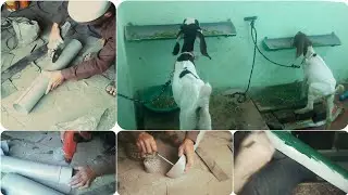 how to do it yourself making feed tray from PVC pipe for your goats or birds at your home .diy Pet's