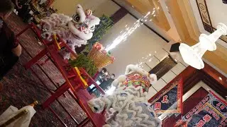 Rising Phoenix Texas Table Routine // Dragon Lion Sports Alliance of America Inauguration