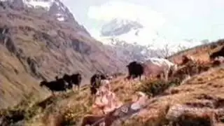 The Heidi game