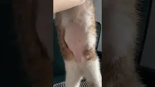 Не до пупка!!