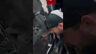 HORSE HITS HIS FACE! ⚠️🐎 | Horse Guards, Royal guard, Kings Guard, Horse, London, 2024
