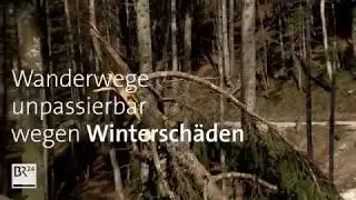 Wanderwege in S&uuml;dbayern teils unpassierbar | BR24