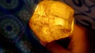 Yellow sapphire corundum rough #sapphire #corundum #yellowstone #gems #gemstone #gemstones #mineral