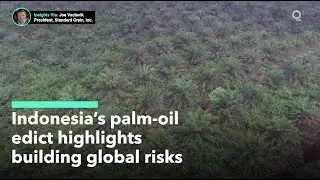 Indonesia&rsquo;s Palm-Oil Ban Highlights Building Global Risk