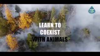 Learn To Coexist With Animals | Second Educational Song Launch | Announcement | AWBP Trust
