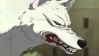 Kiba The Wolf - Akon Diddy