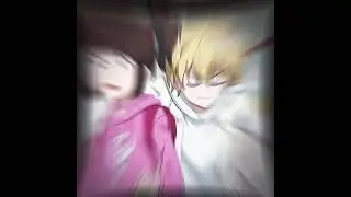 Editor #shinbishouse