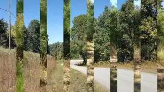 Real estate for sale in Sugar Tree Tennessee - MLS# 174679