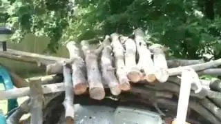 Bird Log Enclosure